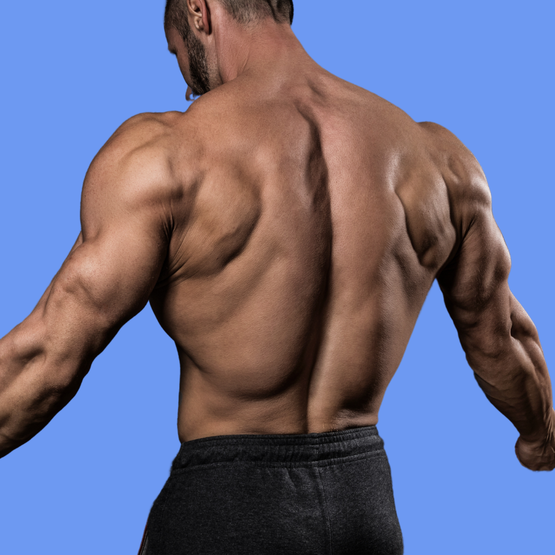 budowanie masy - dla niego